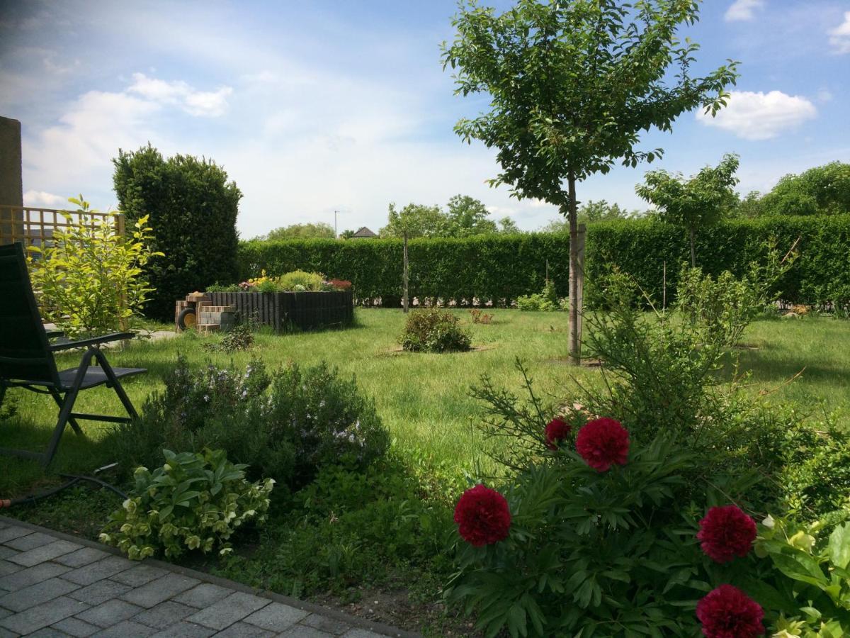 Die Ferienwohnung - Wittenberg An Den Elbwiesen Esterno foto