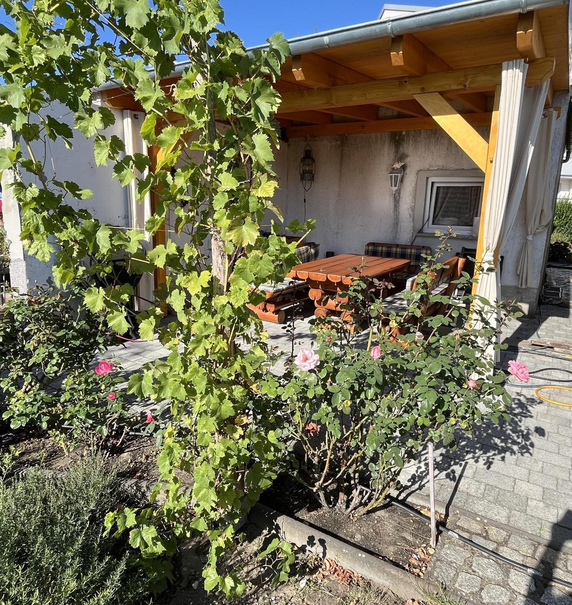 Die Ferienwohnung - Wittenberg An Den Elbwiesen Esterno foto